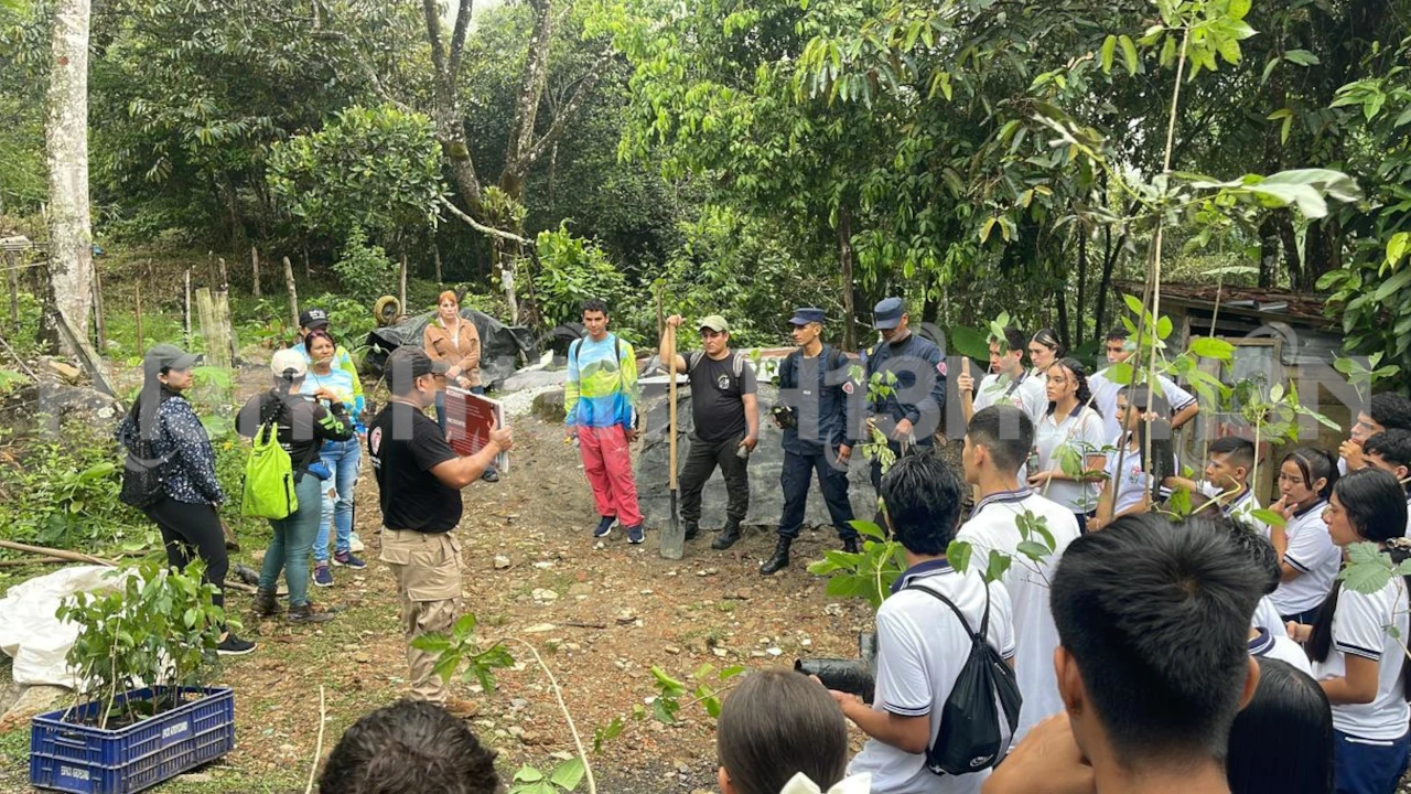 en san luis sembraron mas de 1500 arboles