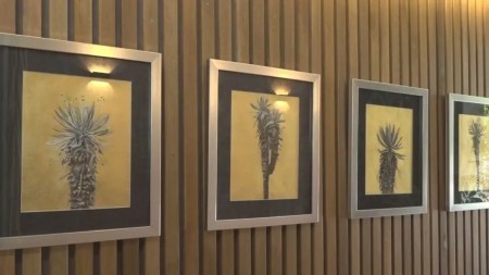 exposición-arte-naturaleza