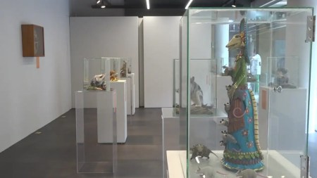 Una exposición de zarigüeyas en la Universidad CES exposicion-zarigueyas-universidad-ces