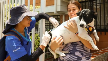 jornada-de-vacunacion-alcaldia de medellin