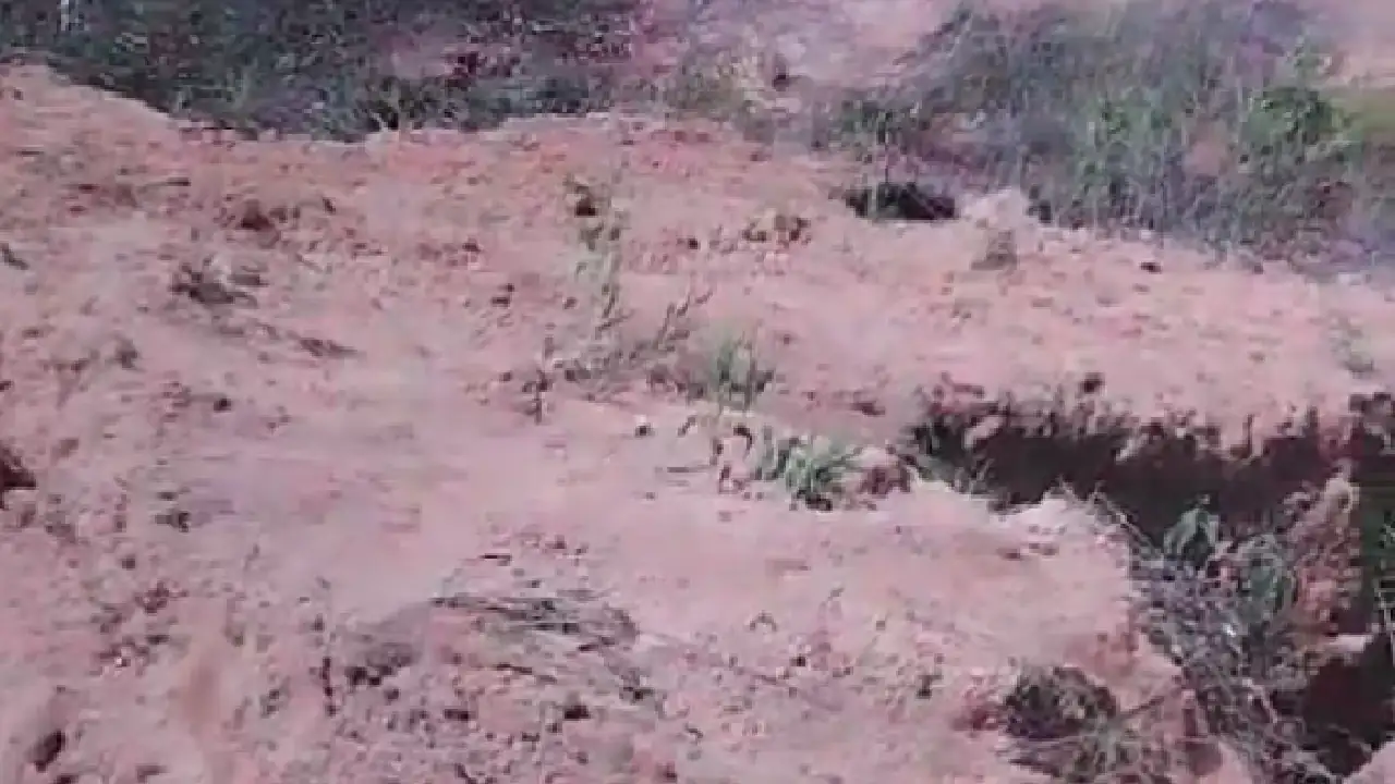 Encontraron restos óseos humanos en una ladrillera del corregimiento de Altavista