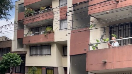 loros-persona-alimenta