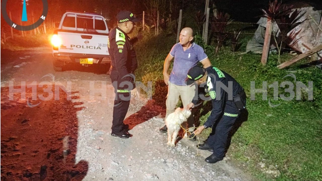 perrito recibio machetazo en San Luis Antioquia 1