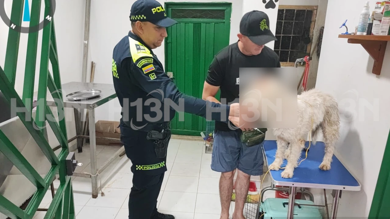 Un perrito fue atacado a machete en San Luis Antioquia