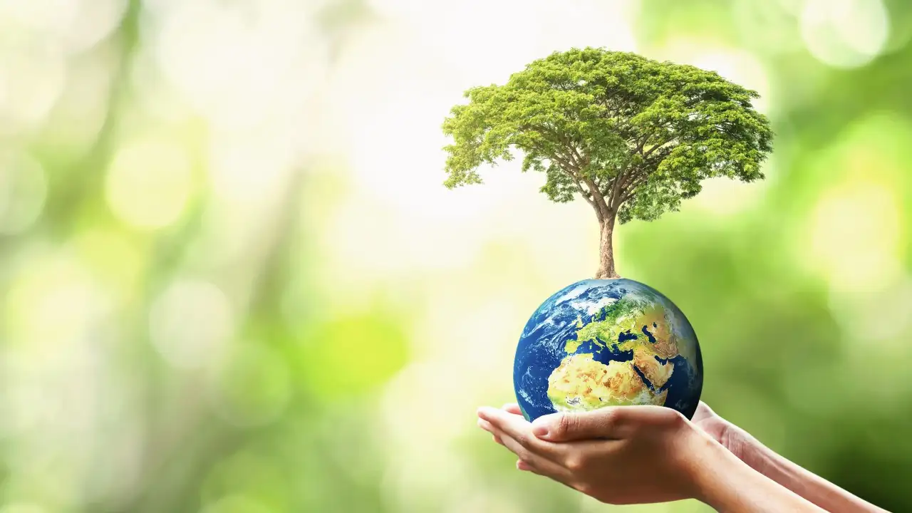 22 de abril: Día de la Tierra ¿Cómo cuidar el planeta?