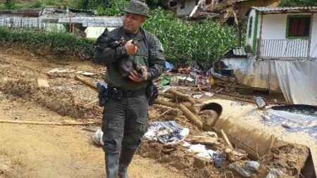 Animalitos-afectados-por-la-avalancha-en-Montebello-Antioquia-reciben-cuidados-amorosos-por-parte-de-la-Policia