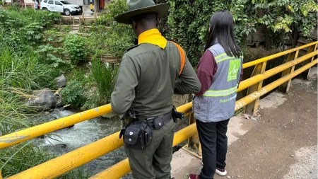 Descubren la causa detrás del color verde de la Quebrada La Iguaná