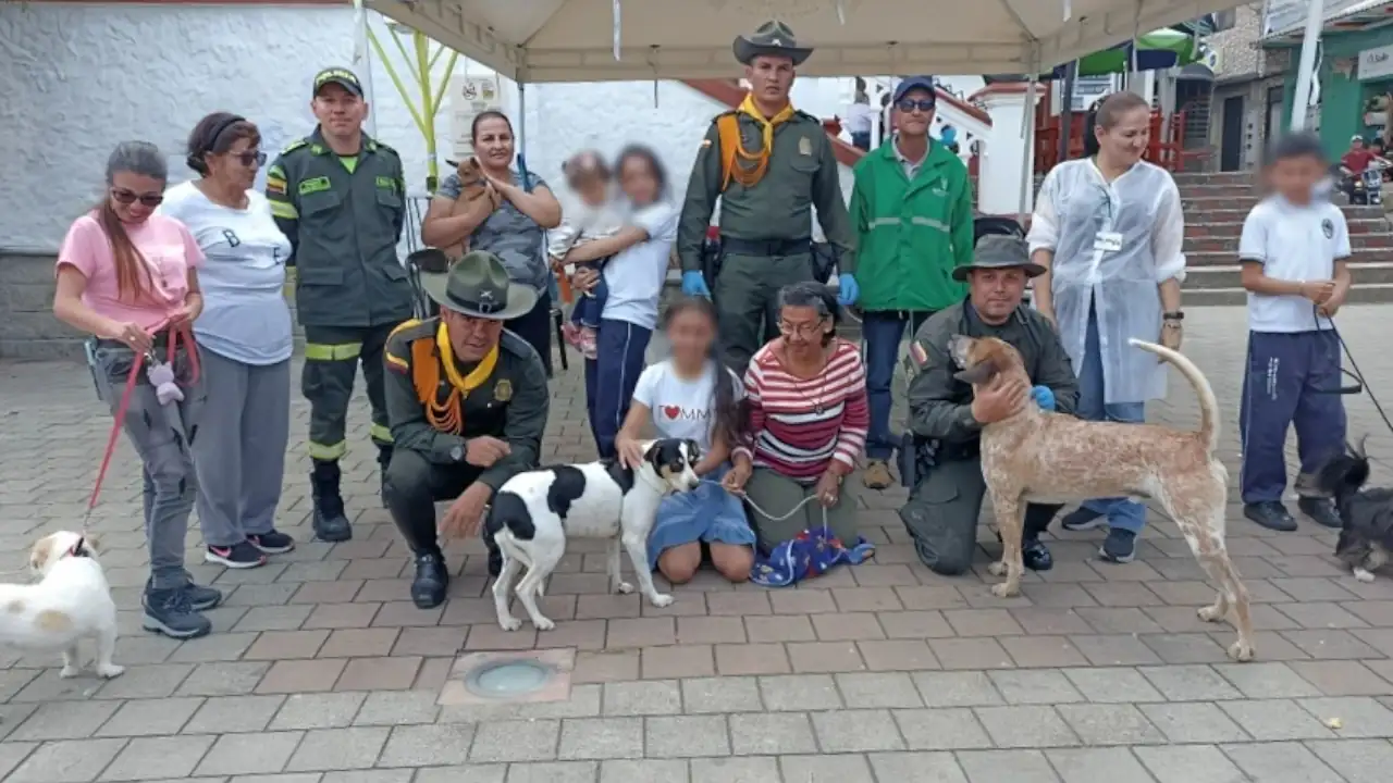 Animalitos-afectados-por-la-avalancha-en-Montebello-Antioquia-reciben-cuidados-amorosos-por-parte-de-la-Policia