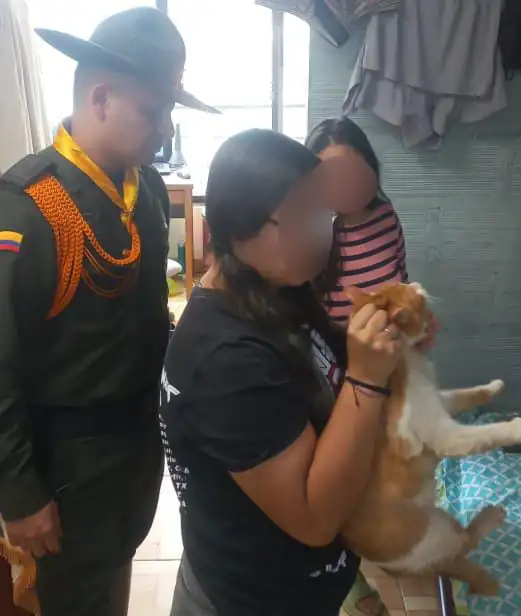 Policía rescata a gatico maltratado en La Estrella