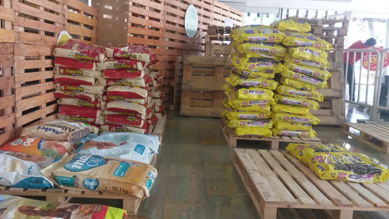 ¡Medellín se moviliza por los peluditos! En Plaza Mayor ciudadanos realizan una donatón