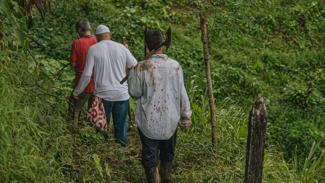 JEP-exhuma-dos-cuerpos-de-desaparecidos-hace-30-anos-en-San-Jose-de-Apartado