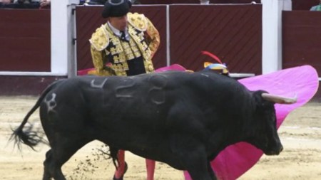 Congreso-aprobo-el-proyecto-de-ley-que-prohibe-las-corridas-de-toros-en-Colombia.