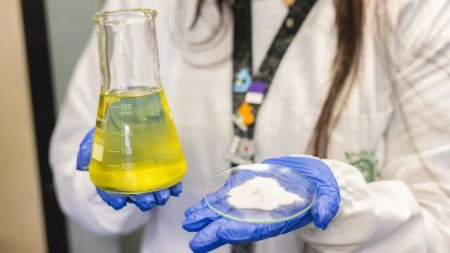 aceite de uva-obesidad-universidad de antioquia