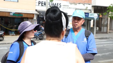 alcaldia de medellin-roedores