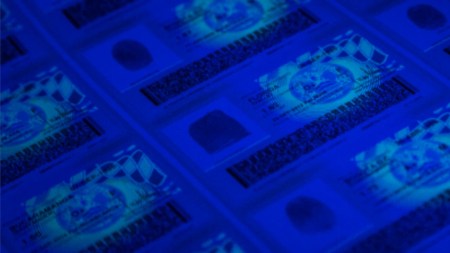 cedulas-pasaportes-falsos