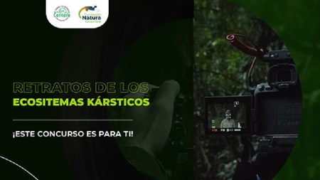 Se abrió la convocatoria al concurso de fotografía de naturaleza: Retratos de los ecosistemas kársticos