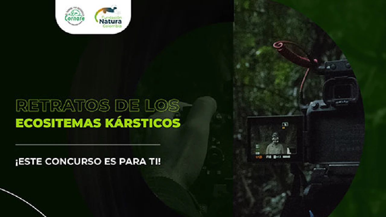 Se abrió la convocatoria al concurso de fotografía de naturaleza: Retratos de los ecosistemas kársticos