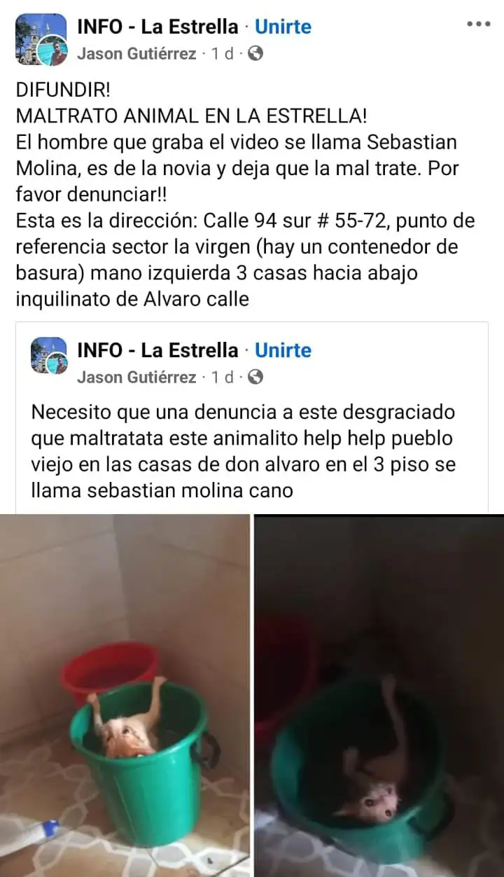 gatico