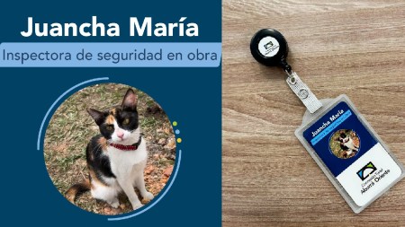 “Ronronea y es muy suave”: Ella es Juancha María la nueva integrante del intercambio Vial del Aeropuerto José María Córdova