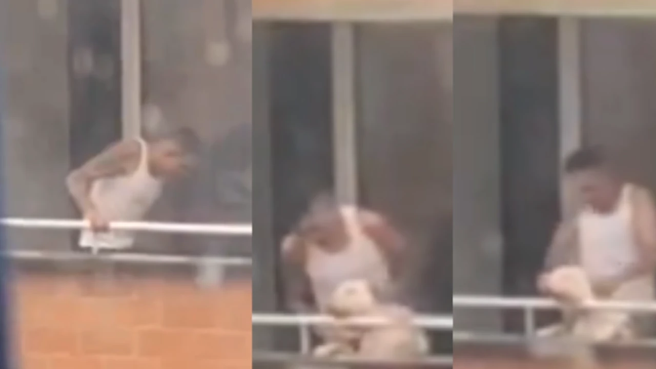 Video| ¡Indignación! Perrito es maltratado salvajemente por su dueño en el barrio La Aurora maltrato animal