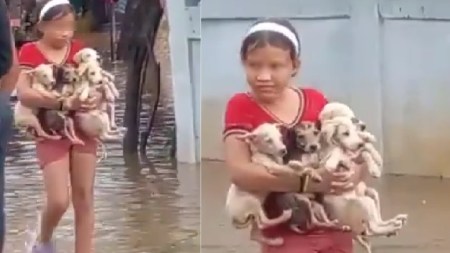 Video| ¡Qué hermoso corazón! Una niña rescató a cuatro cachorritos en medio de una inundación