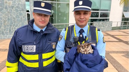 dos-agentes-de-transito-rescataron-un-Buho-en-la-vereda-Barro-Blanco.