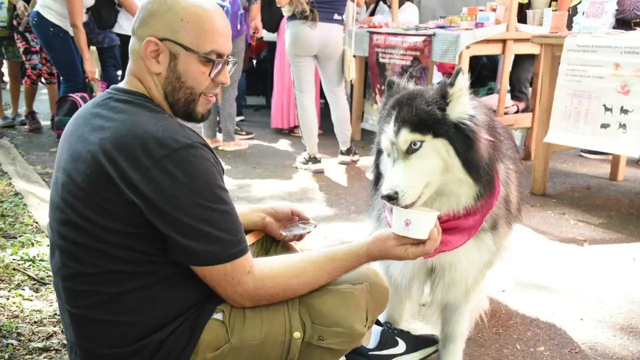 Itagüí se convierte en referente de protección animal y crea una Subsecretaría