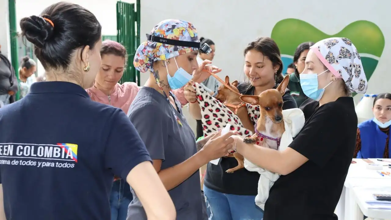 Ejército realizó una jornada de esterilización a los ‘peluditos’ en Caicedo, Antioquia 3 Ejército realizó una jornada de esterilización a los ‘peluditos’ en Caicedo, Antioquia