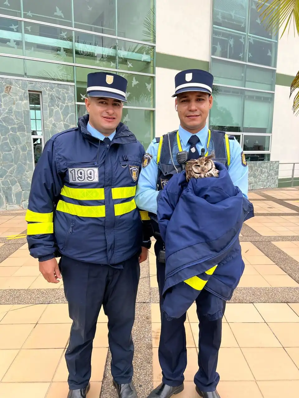 dos-agentes-de-transito-rescataron-un-Buho-en-la-vereda-Barro-Blanco.
