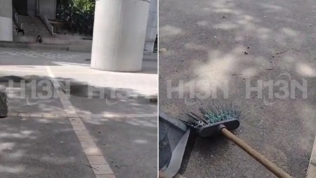 Denuncian cochineza y falta de cultura ciudadana en inmediaciones a la Estación Popular