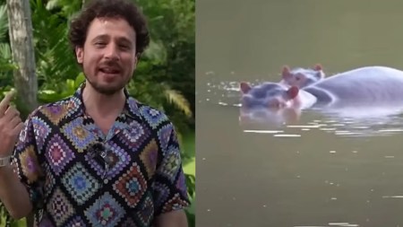 Luisito Comunica estuvo en Antioquia y expuso el dilema que representan los hipopótamos en Colombia