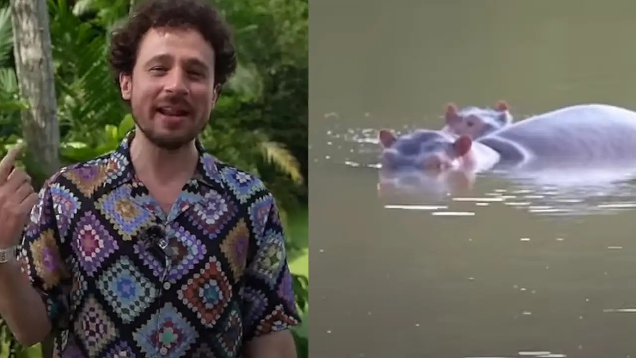 Luisito Comunica estuvo en Antioquia y expuso el dilema que representan los hipopótamos en Colombia