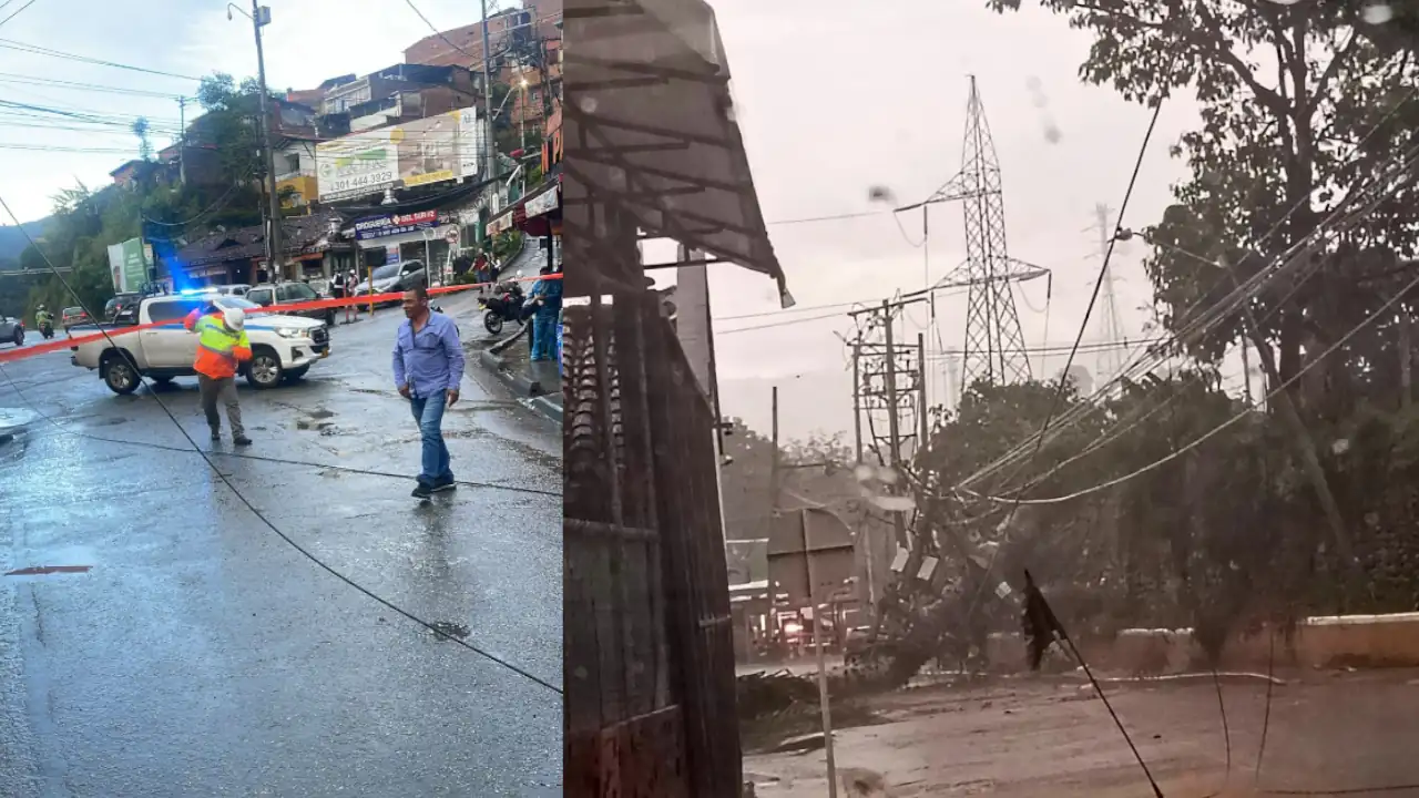 En la Estrella reportan que un árbol se desplomó y derribó varios postes de electricidad En la Estrella reportan que un árbol se desplomó y derribó varios postes de electricidad
