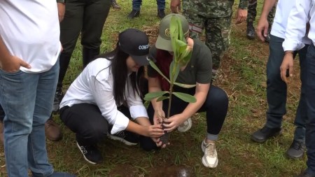 bello-sembraton-cerro-quitasol