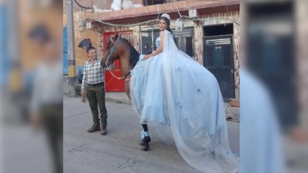 Video| ¡Como en un cuento de hadas! En Argelia, una quinceañera llegó a su misa montada en caballo