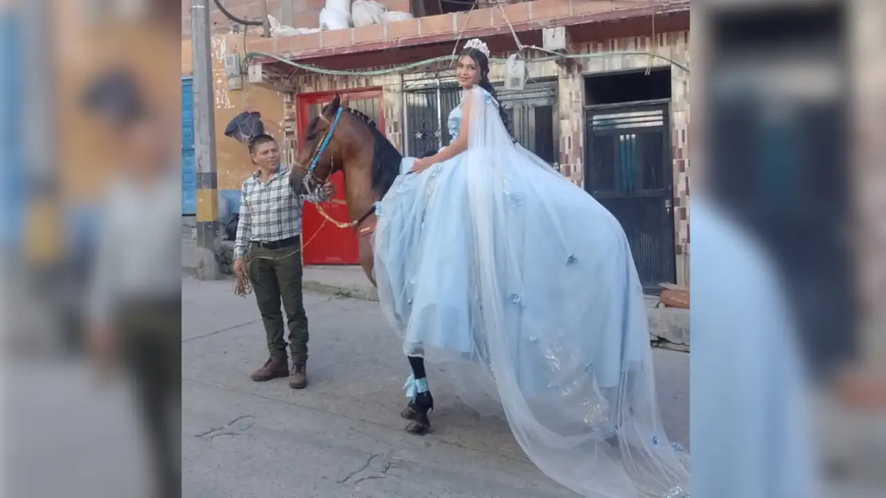 Video| ¡Como en un cuento de hadas! En Argelia, una quinceañera llegó a su misa montada en caballo Video| ¡Como en un cuento de hadas! En Argelia, una quinceañera llegó a su misa montada en caballo
