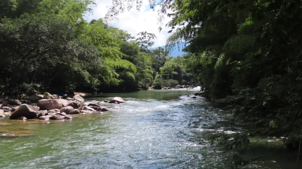 ¡Trágico festivo! Un joven de 19 años se ahogó mientras nadaba en un río en San Rafael
