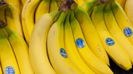 ¿Justicia? La bananera Chiquita Brands debe pagar multimillonaria indemnización a víctimas de paramilitares