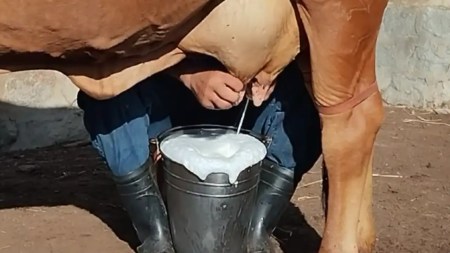 crisis-de-la-leche-colombia