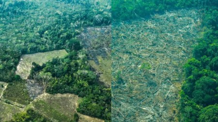 deforestacion-amazonia