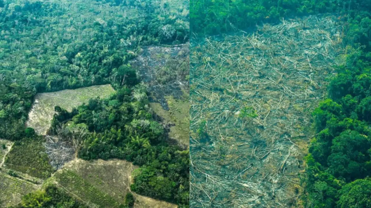 deforestacion-amazonia