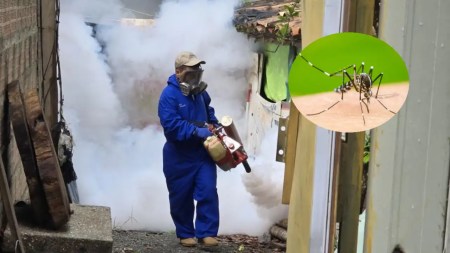 dengue-antioquia