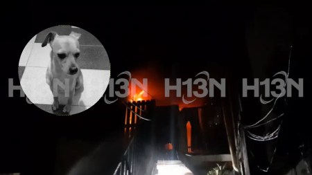 ¡Lamentable! Un perrito sin vida y una persona herida dejó incendio en el barrio Chile de La Estrella incendio-la estrella-perrito