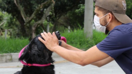 El municipio de La Estrella es el único del país que realiza casa a casa implantación de microchips para mascotas microchips en La Estrella