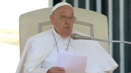 papa francisco-homilia