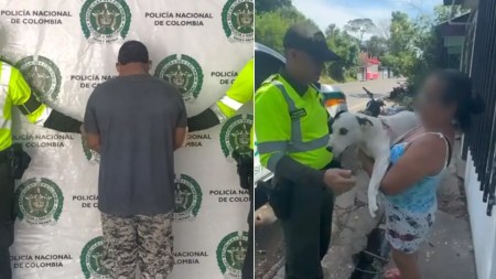 perro-puerto-boyaca-captura-agresor
