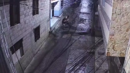 violencia intrafamiliar-copacabana