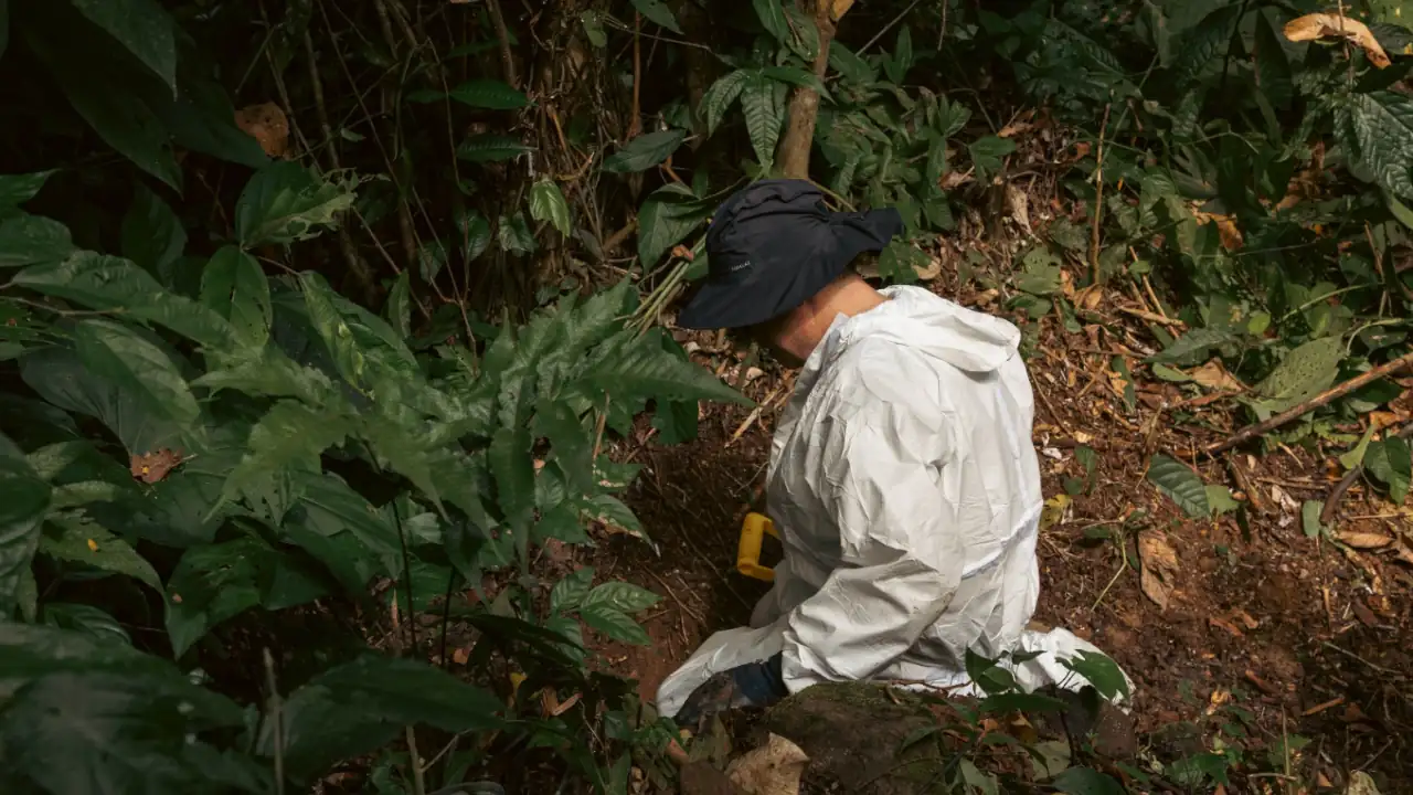 Revelaciones de exmiembros de las Farc-EP a la JEP conducen a hallazgos forenses en Urabá