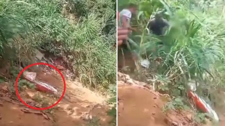 Entre 35 y 40 años tenía el hombre hallado sin vida en Villa Hermosa, aún no lo identifican