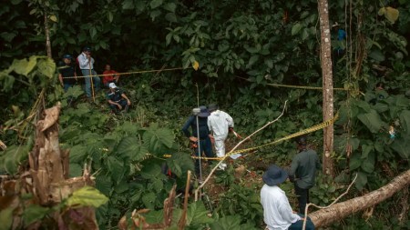 Revelaciones de exmiembros de las Farc-EP a la JEP conducen a hallazgos forenses en Urabá